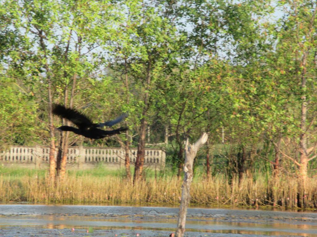 Ao Thai Resort Sathing Phra Zewnętrze zdjęcie