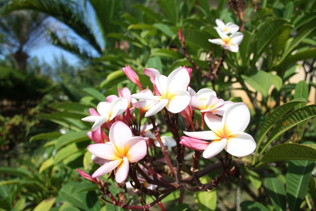 Ao Thai Resort Sathing Phra Zewnętrze zdjęcie