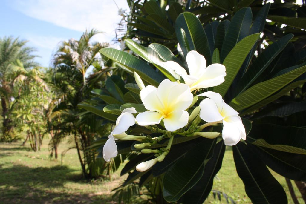 Ao Thai Resort Sathing Phra Zewnętrze zdjęcie